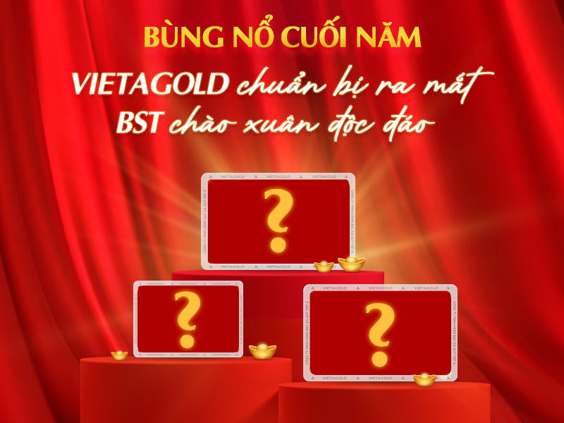 vietagold.12.20.1 web