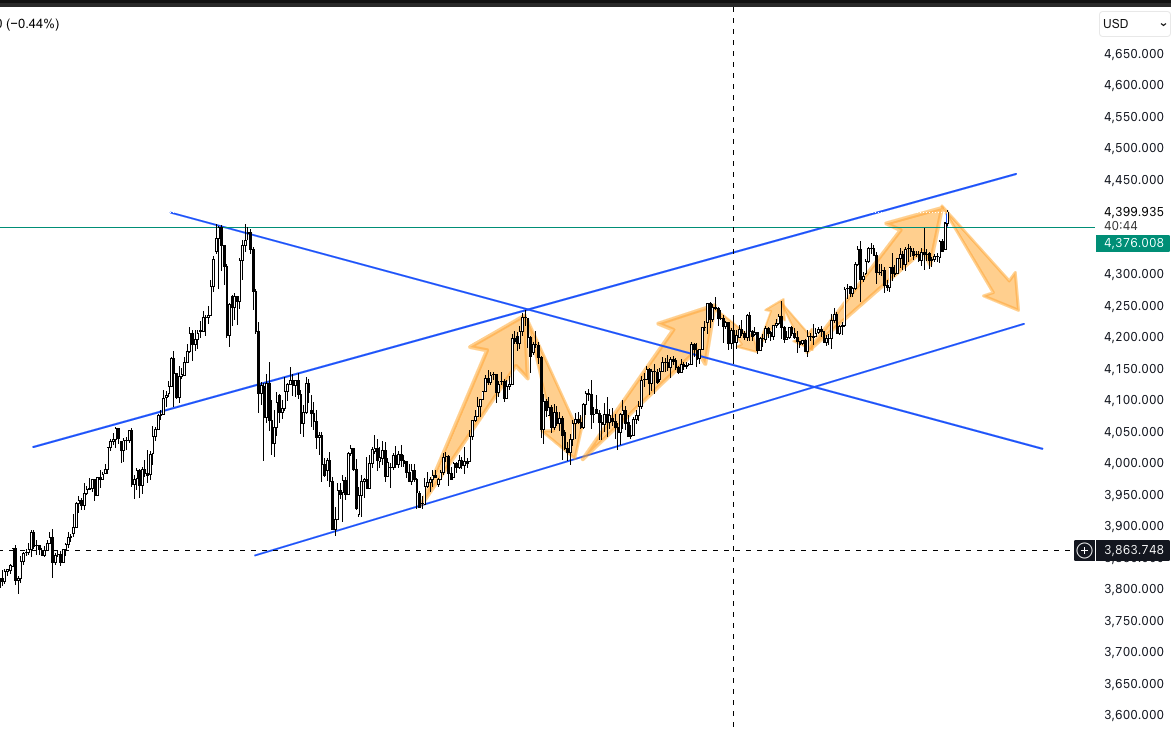 Screen Shot 2025 12 22 at 12.19.17